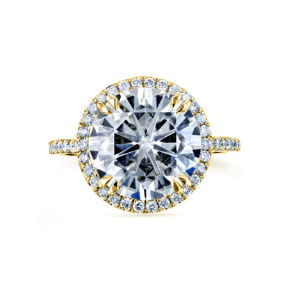 Ultra Grand Halo Ring